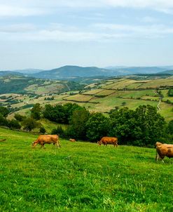 Santiago de Compostela Pilgrimage – 237