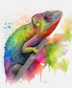 Chameleon