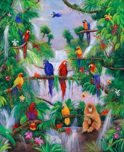 Parrot Jungle