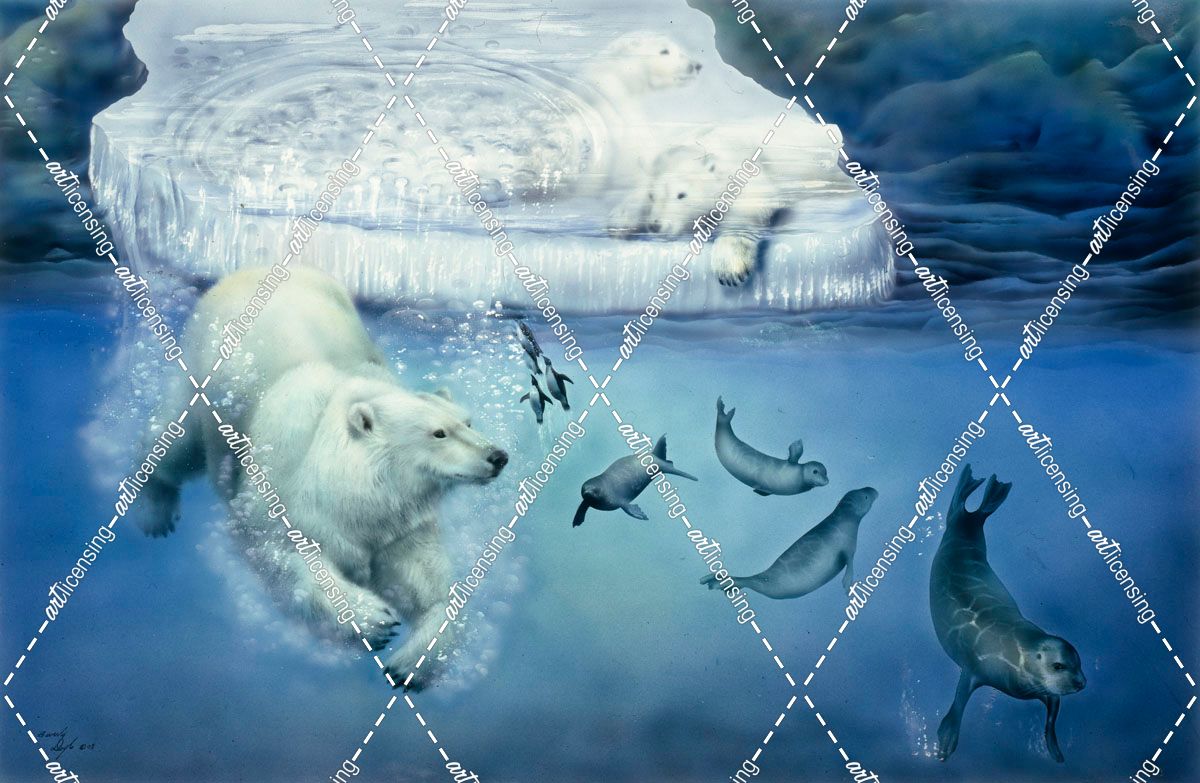 Polar Bears & Seals