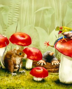 Mushroom Meeting
