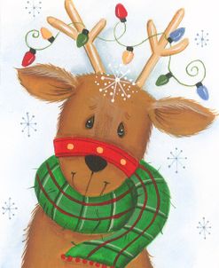 Reindeer With Lights