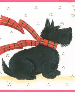 Scottish Terrier