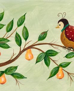 Partridge In A Pear Tree