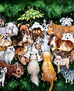 Dilemma – Dogs And Cats