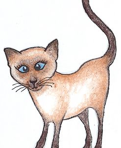 Siamese Detail