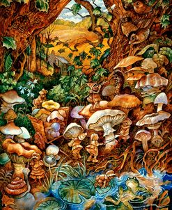 The Mushroom Fairies