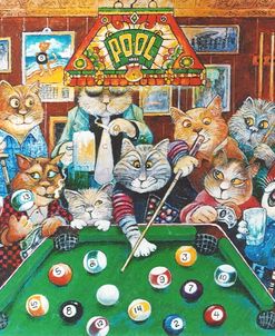 The Hustler ( Pool Cats )