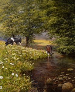 Cattle By The Stream