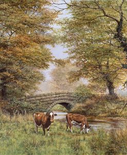 Cows By Bridge