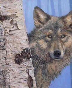 Birch Wolf