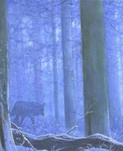 Blue Wolf