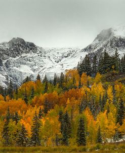 A Rocky Mountain Autumn