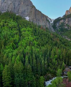 A Mountain Of Green