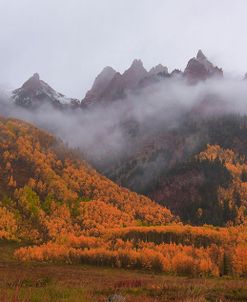 A Walk In The Autumn Mist