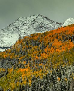 Autumn Mountain