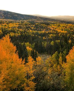 Autumn Sunrise