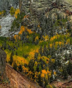 Autumn Wall