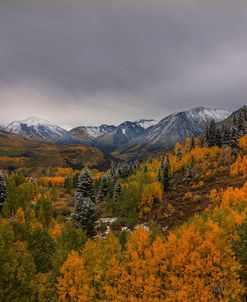 Autumn Wonderland