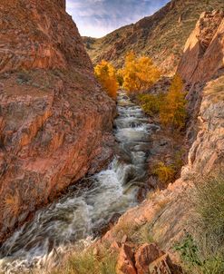 Canyon Of Dreams