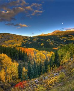 Morning Glory At Coal Bank Pass