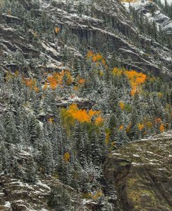 Mountain Lace And Autumn Pockets