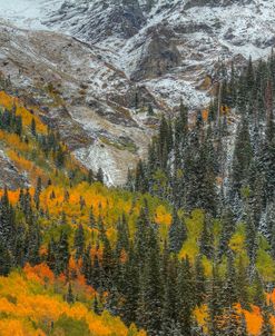 Mountains And Aspens