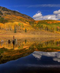 Reflecting On Autumn