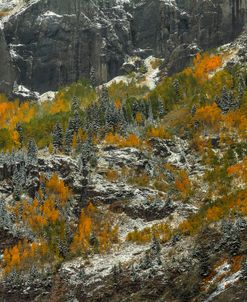 Sheer Cliffs And Dazzling Color