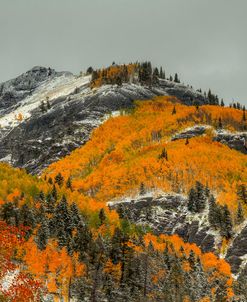 White Lace And Autumn Ridges