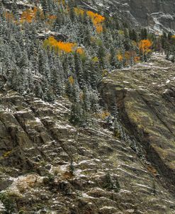 White Lace And Autumn Slivers