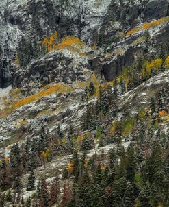 White Lace And Colored Ridges