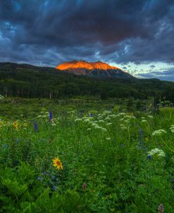 Wildflowers And Mountain Majesty