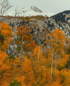 Aspen Outlines