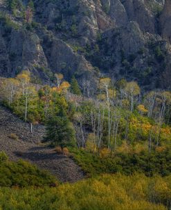 Aspen Sprites