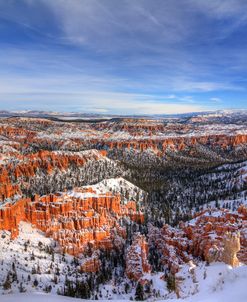 Transformation At Bryce Canyon