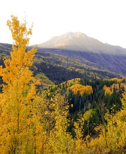Autumn Meets Morning Mountain Sunshine