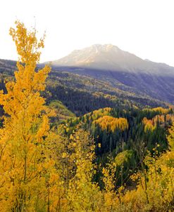 Autumn Meets Morning Mountain Sunshine