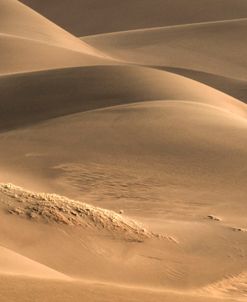 Dunes And Light