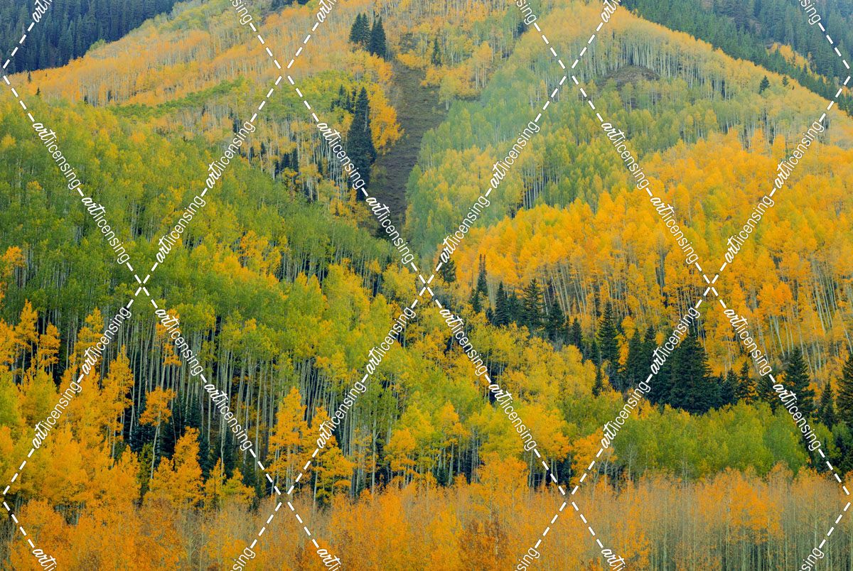 Kaleidoscope Autumn