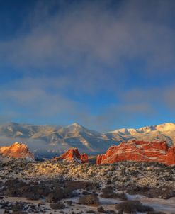 Morning Glory At Garden Of The Gods