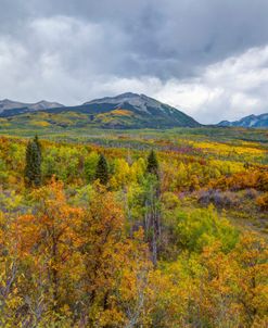 Mountains Of Aspens