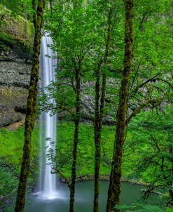 Silver Falls-Oregon 2