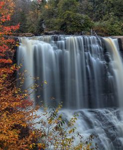Color At Blackwater Falls