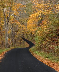 The Road To Autumn