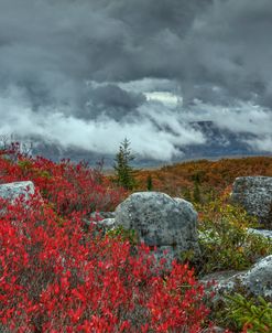 Storm Over Dolly Sods