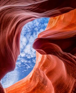The Colors Within
