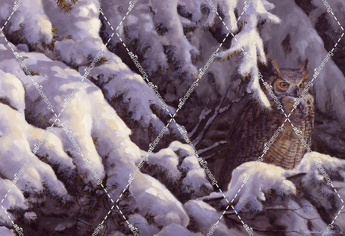 Among the Pines – Great Horned Owl