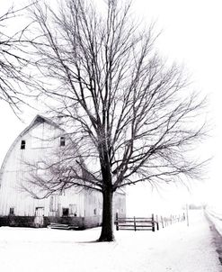 January Barn