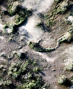 Topography Texture 1